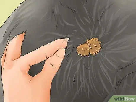 Image titled Get Burrs Out of Dog Hair Step 1