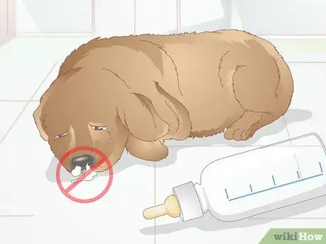 Image titled Safely Formula Feed Puppies Step 9