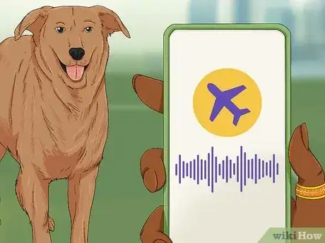 Image titled Prepare a Dog for Air Travel Step 4