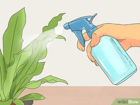 Image titled Make Organic Pesticide Step 12