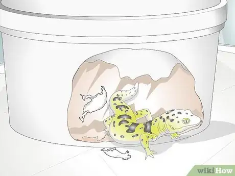 Image titled Bathe a Leopard Gecko Step 10