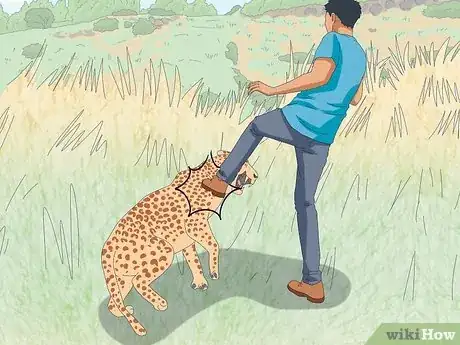 Image titled Survive a Leopard Attack Step 10