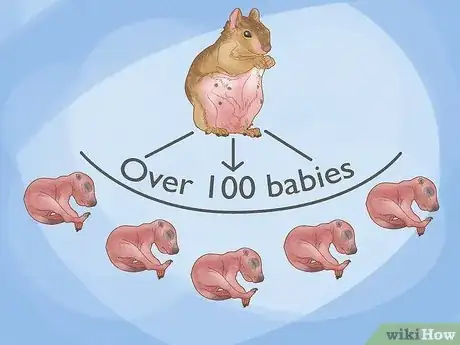 Image titled How Many Babies Do Squirrels Have Step 5