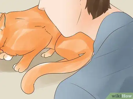 Image titled Know if Your Cat Is Dying Step 5