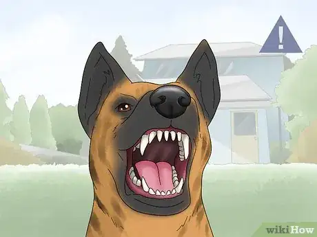 Image titled Use a Muzzle to Correct Nipping in Dogs Step 9