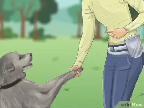 Image titled Recognize Fear in Dogs Step 16