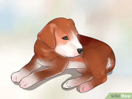 Image titled Feed Puppies Step 10