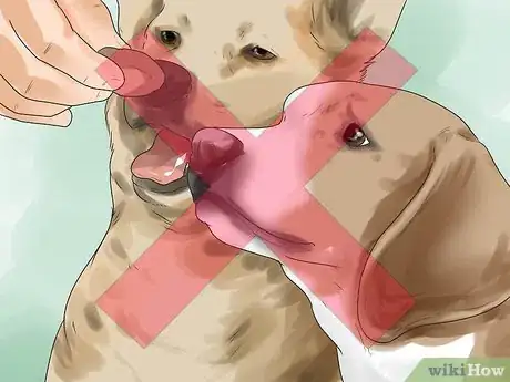 Image titled Get Your Two Dogs to Stop Fighting Step 16