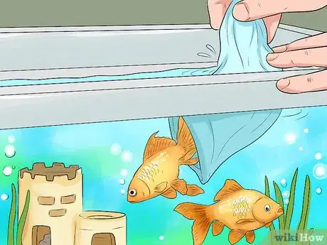 Image titled Make Aquarium Setups Stand Out Step 7