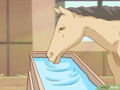 Image titled Feed a Horse Step 1