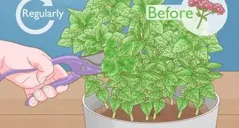 Grow Herbs Indoors Under Lights