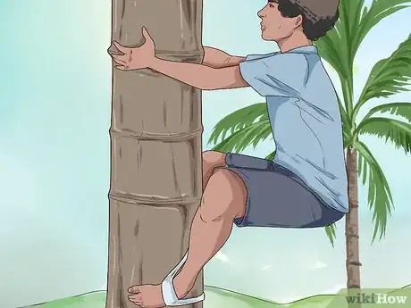 Image titled Climb a Coconut Tree Step 5