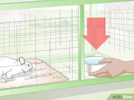 Image titled Choose a Water Dish for Your Rabbit Step 2