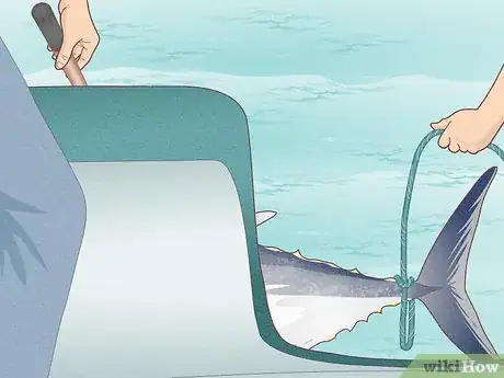 Image titled Catch Bluefin Tuna Step 15