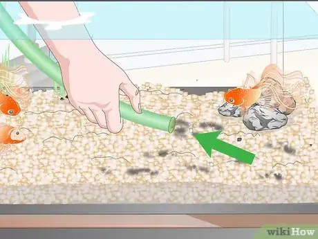 Image titled Clean Fish Tank Rocks Step 10