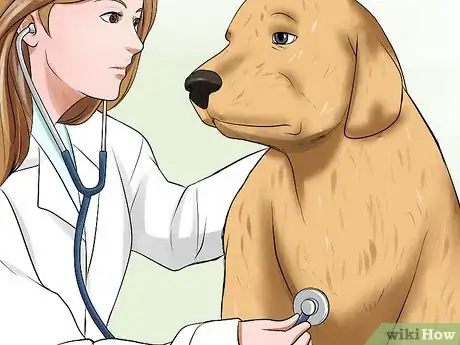 Image titled Diagnose Canine Leptospirosis Step 6