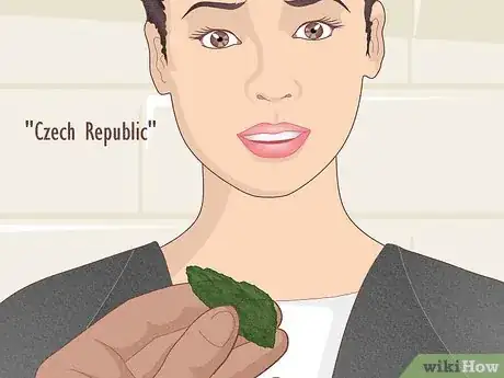 Image titled Tell if Moldavite is Real Step 10