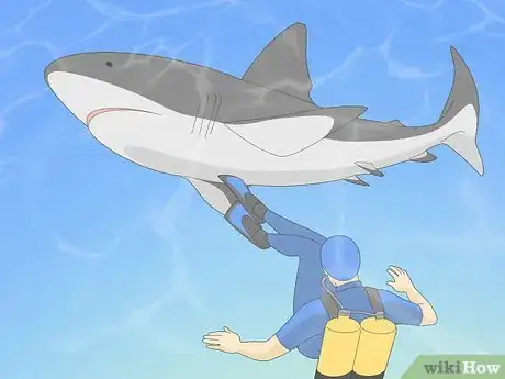 Image titled Get over Your Fear of Sharks Step 9