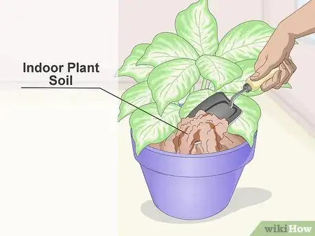 Image titled Keep Your Plants from Dying Step 1