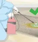 Remove Old Dog Urine Stains