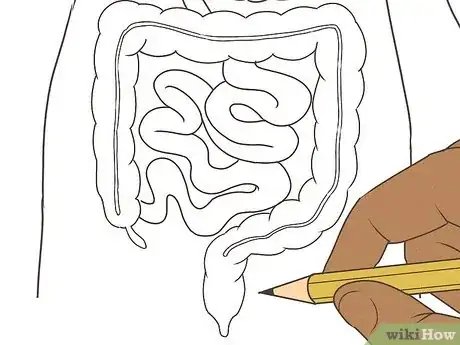 Image titled Draw a Model of the Digestive System Step 11