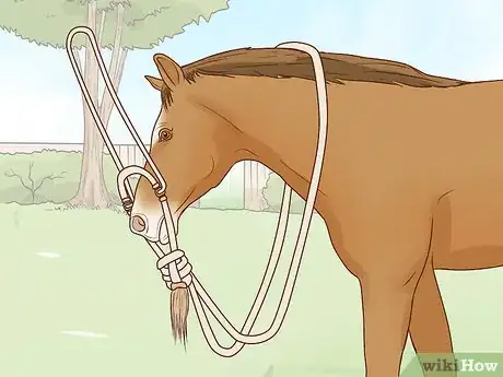 Image titled Tie a Bosal Step 10