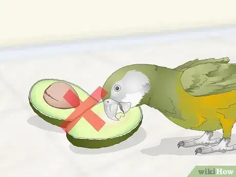 Image titled Feed a Senegal Parrot Step 14