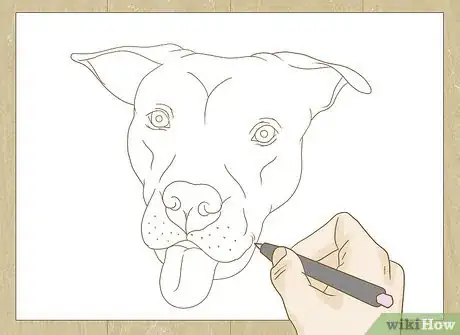 Image titled Draw a Pitbull Step 28