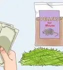 Treat External Parasites on a Pet Rat