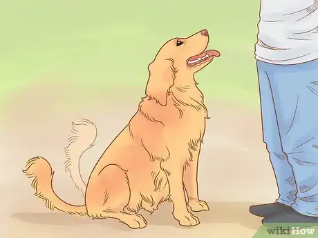 Image titled Know if Your Dog Likes You the Best Step 2