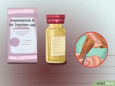 Image titled Treat Aspergillosis in Dogs Step 6