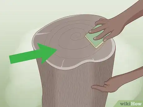 Image titled Decorate Tree Stumps Step 11