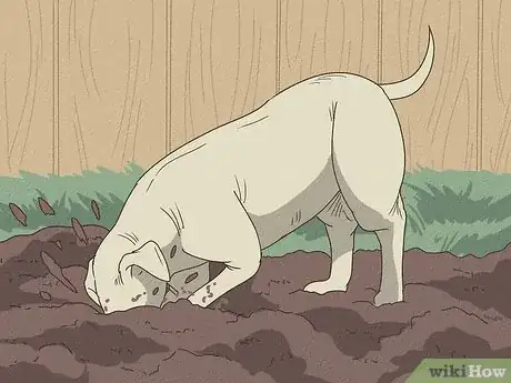 Image titled Care for an American Pit Bull Terrier Step 3