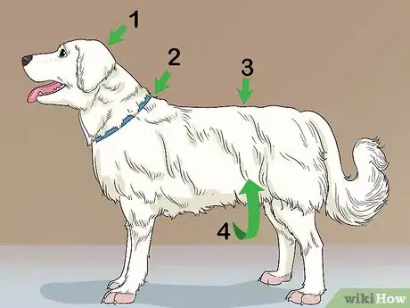 Image titled Shave Your Dog Step 14