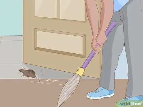 Image titled Get a Mouse Out of the House Step 5