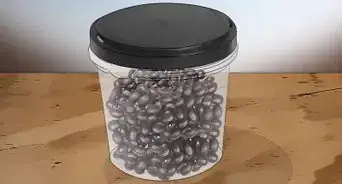 Grow Black Beans