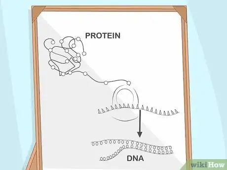 Image titled Study for Biology Step 6