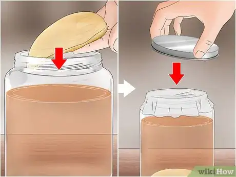 Image titled Store Scoby Step 4