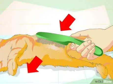 Image titled Make an Herbal Flea Remedy for Cats Step 16