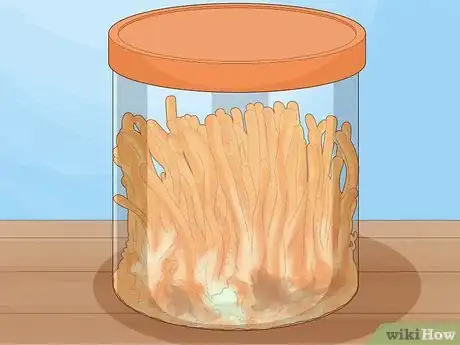 Image titled Grow Cordyceps Step 15