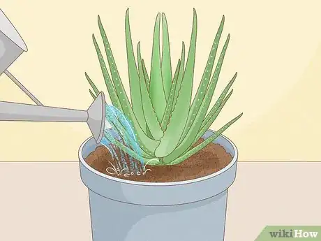 Image titled Transplant Aloe Vera Step 14