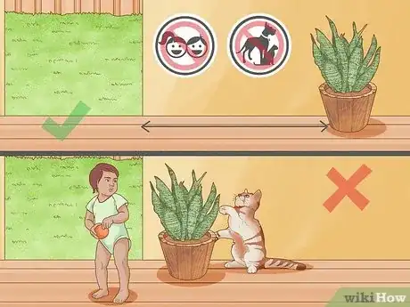 Image titled Arrange Plants in Living Room Step 10