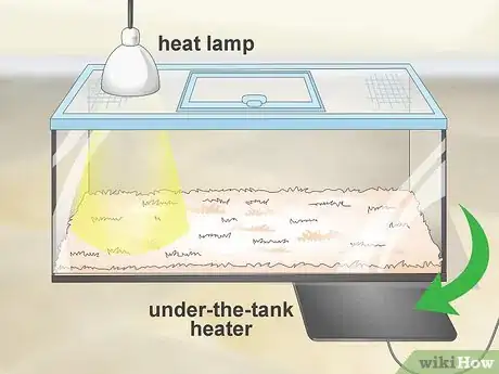 Image titled Create a Corn Snake Vivarium Step 5