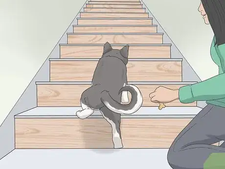 Image titled Train a Scared Dog to Go Down the Stairs Step 6