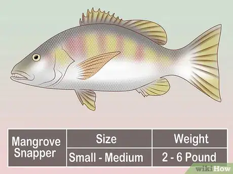 Image titled Create a Setup for Inshore Fishing Step 43