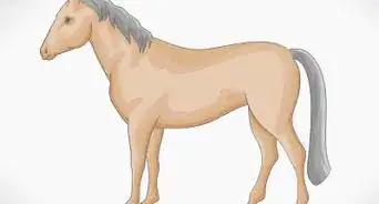 Draw a Simple Horse