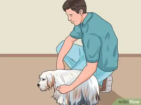 Image titled Build Trust with an Abused Dog Step 13