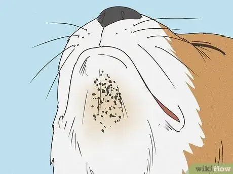 Image titled Treat Feline Acne Step 10