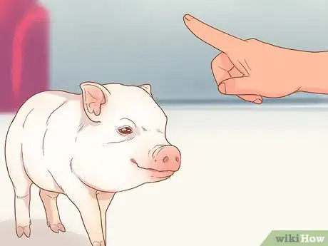 Image titled Train a Pig Step 14