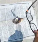 Create Fire With a Magnifying Glass